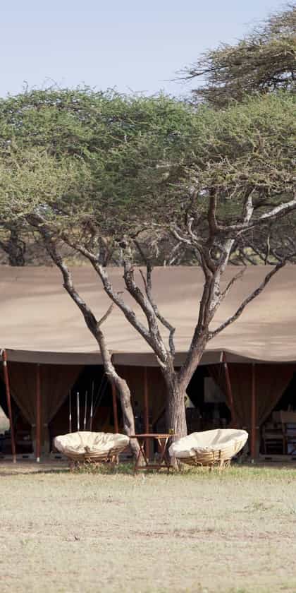 Serian's Serengeti South, Serengeti | Timbuktu Travel