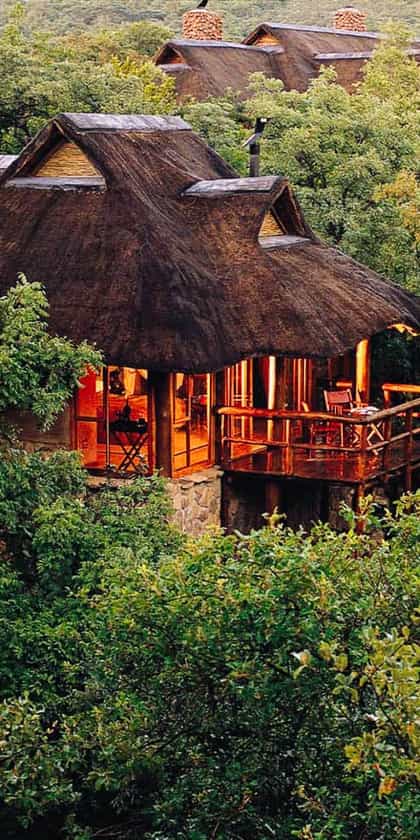 Makweti Safari Lodge, Welgevonden Game Reserve | Timbuktu Travel
