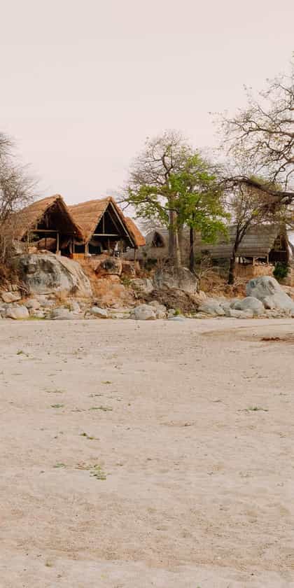 Mwagusi Safari Camp, Ruaha | Timbuktu Travel