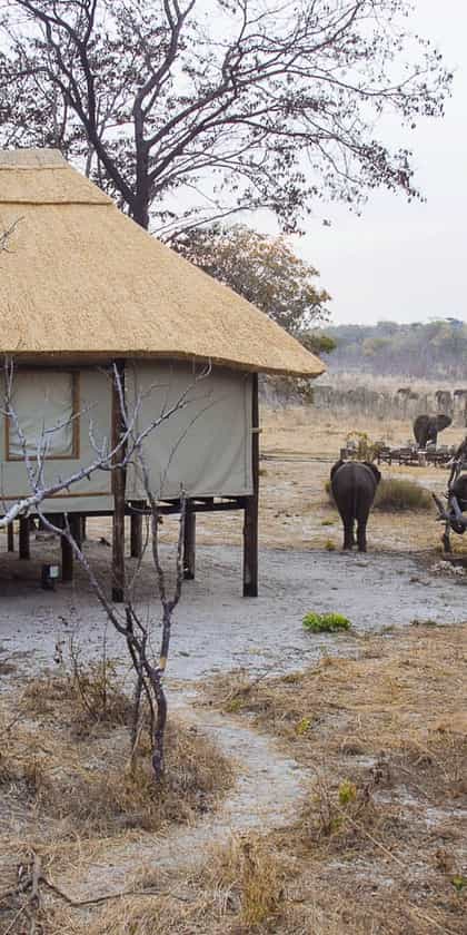 Khulu Bush Camp, Hwange | Timbuktu Travel