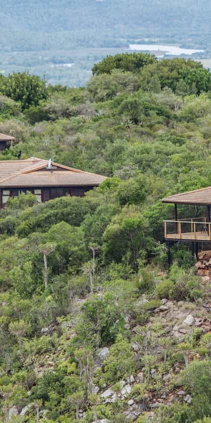 Kariega Main Lodge, Eastern Cape | Timbuktu Travel
