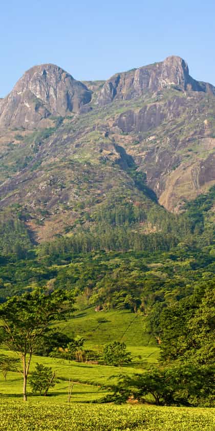Chawani Bungalow, Thyolo | Timbuktu Travel