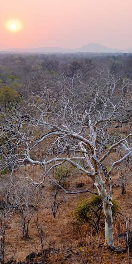 Majete Wildlife Reserve