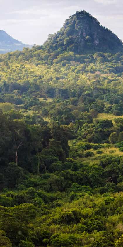 Gorongosa National Park