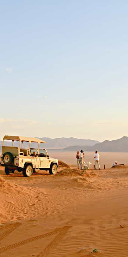 Wolwedans Activity Game Drives