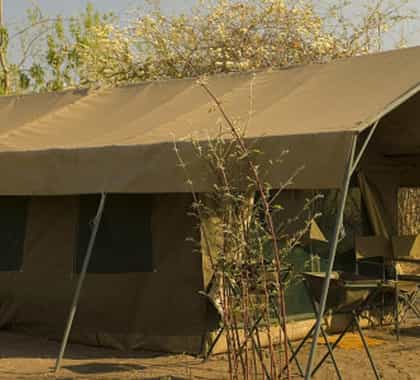 Saile Tented Camp, Linyanti | Timbuktu Travel