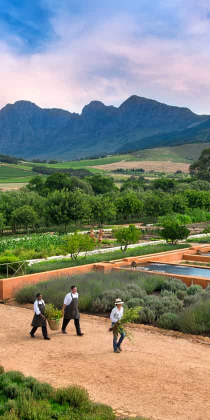 Babylonstoren Farm Hotel, The Franschhoek Valley | Timbuktu Travel