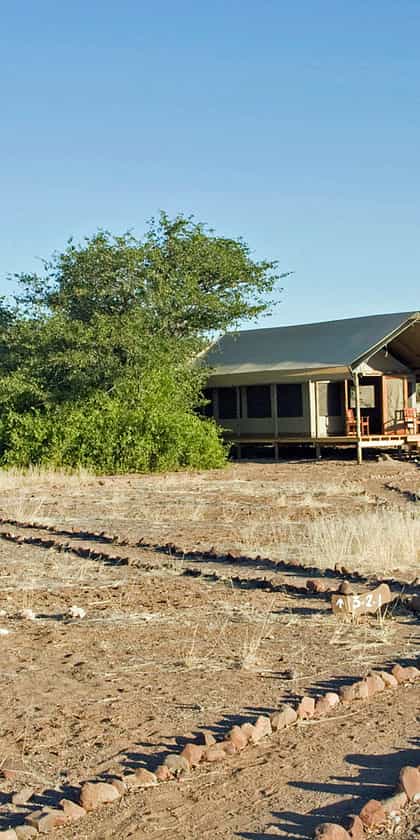 Desert Rhino Camp, Damaraland | Timbuktu Travel