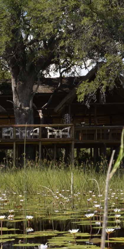 Tswii Okavango Lodge, Maun | Timbuktu Travel