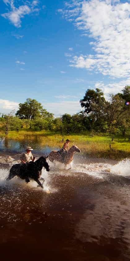 Motswiri Camp, Linyanti | Timbuktu Travel