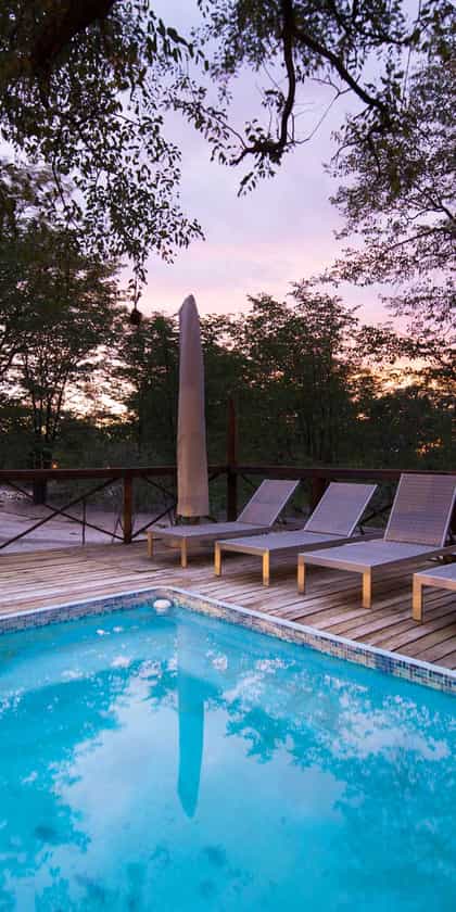 Mankwe Bush Lodge, Moremi | Timbuktu Travel