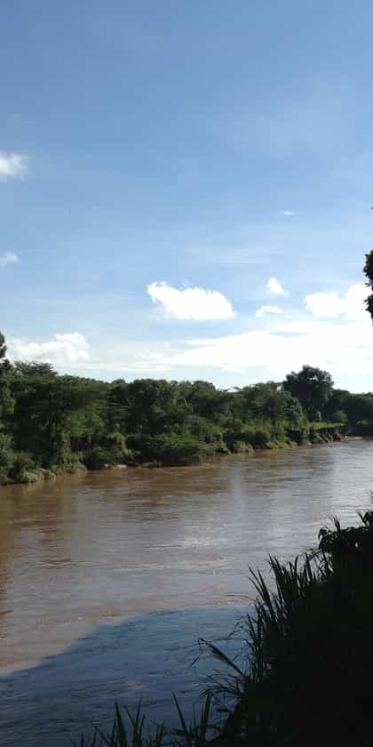 Mara River Camp, Masai Mara | Timbuktu Travel