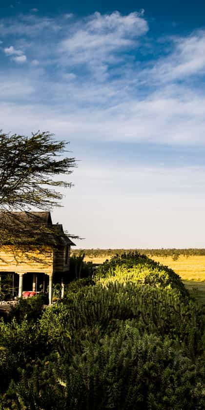 Segera Retreat, Laikipia | Timbuktu Travel