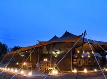 Porini Lion Camp, Masai Mara | Timbuktu Travel