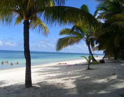 Le Palmiste Resort & Spa, Mauritius | Timbuktu Travel