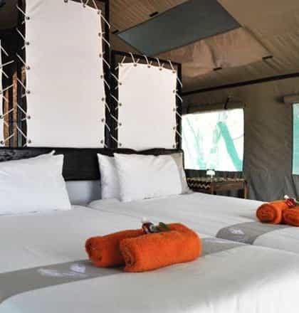 Mopane Camp, Kaokoland | Timbuktu Travel