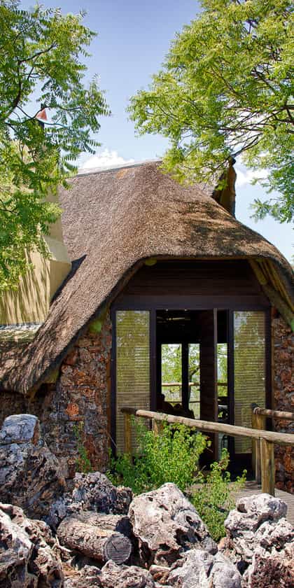 Little Ongava, Etosha | Timbuktu Travel