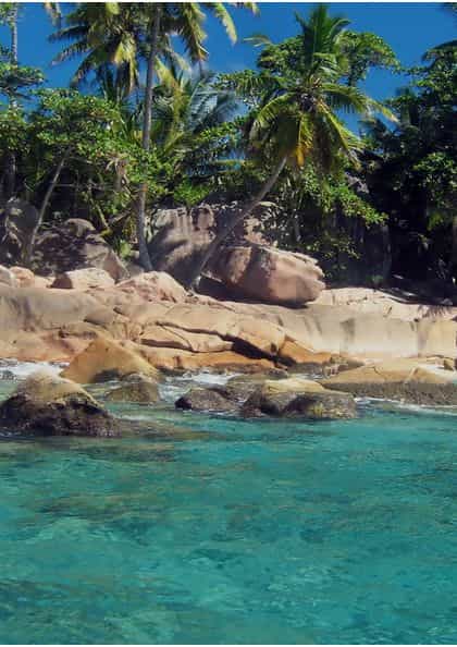 Mango Lodge, Seychelles | Timbuktu Travel