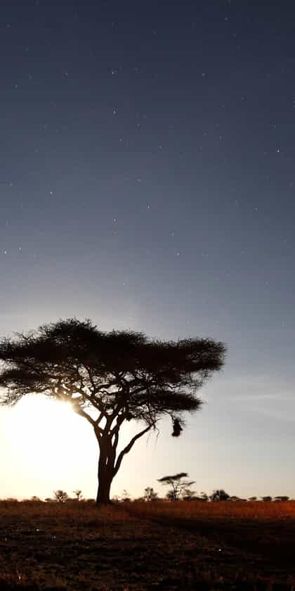 Pumzika Luxury Safari Camp by Sura Afrika, Serengeti | Timbuktu Travel