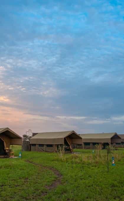 Kananga Special Tented Camp, Serengeti | Timbuktu Travel