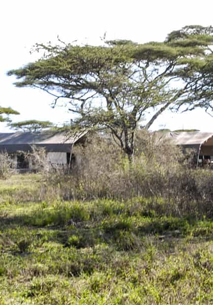Serengeti Savannah Camp, Serengeti | Timbuktu Travel