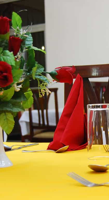 Snow View Hotel , Kilimanjaro | Timbuktu Travel