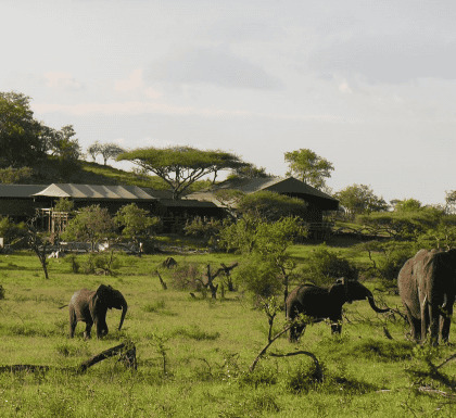 Grumeti Migration Camp, Serengeti | Timbuktu Travel