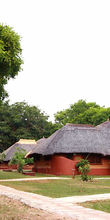 Mushroom Lodge & Presidential House, South Luangwa | Timbuktu Travel