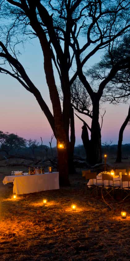 Hwange Safari Lodge, Hwange | Timbuktu Travel