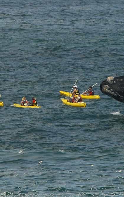 Zoete Inval Traveller's Lodge, Hermanus | Timbuktu Travel