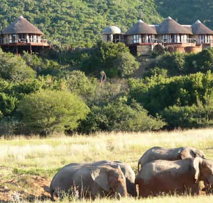 Nguni River Lodge , Eastern Cape | Timbuktu Travel
