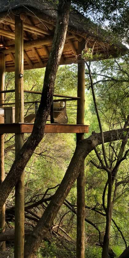 Morukuru Owners House, Madikwe | Timbuktu Travel