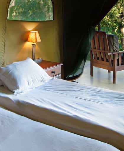 Serolo Safari Camp, Tuli | Timbuktu Travel