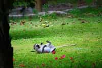 Wileli House, Lake Naivasha | Timbuktu Travel