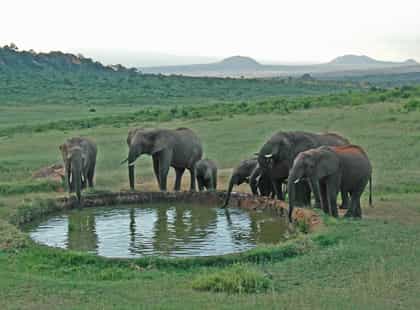 Ngulia Safari Lodge, Tsavo | Timbuktu Travel