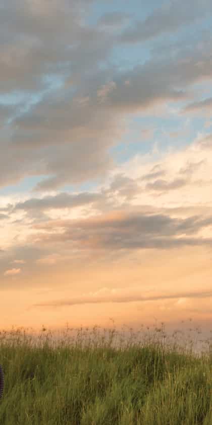 Rovos Rail, Johannesburg | Timbuktu Travel