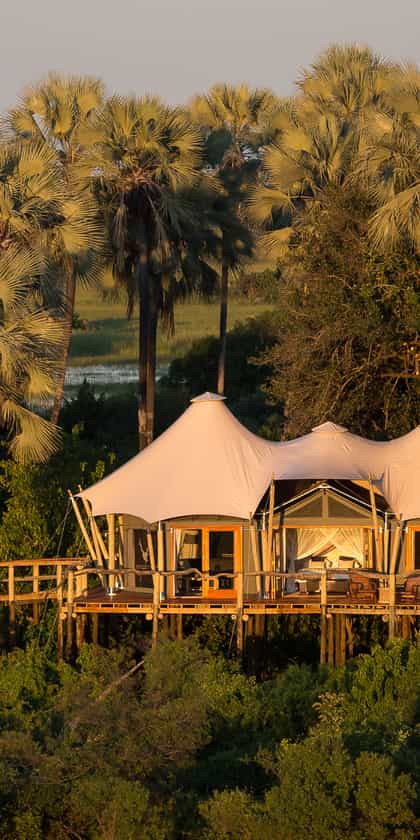 Kwetsani Camp, Central Okavango | Timbuktu Travel