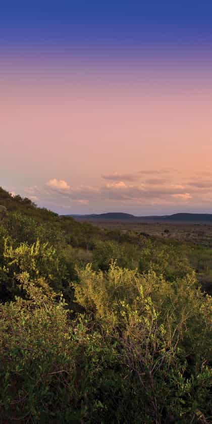 Madikwe Safari Lodge, Madikwe | Timbuktu Travel