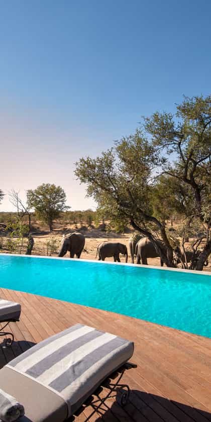 &Beyond Ngala Safari Lodge, Timbavati | Timbuktu Travel