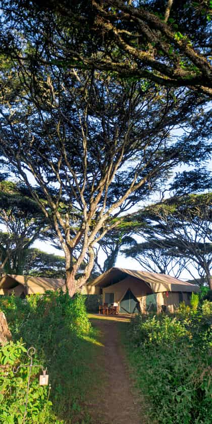 Lemala Ngorongoro Tented Camp, Ngorongoro Crater | Timbuktu Travel