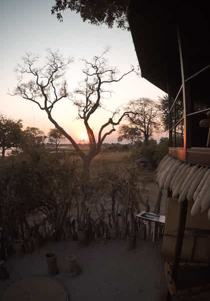 Jackalberry Tented Camp, Caprivi (the Zambezi Region) | Timbuktu Travel