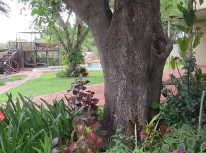 3 Palms Bed & Breakfast, Caprivi (the Zambezi Region) | Timbuktu Travel