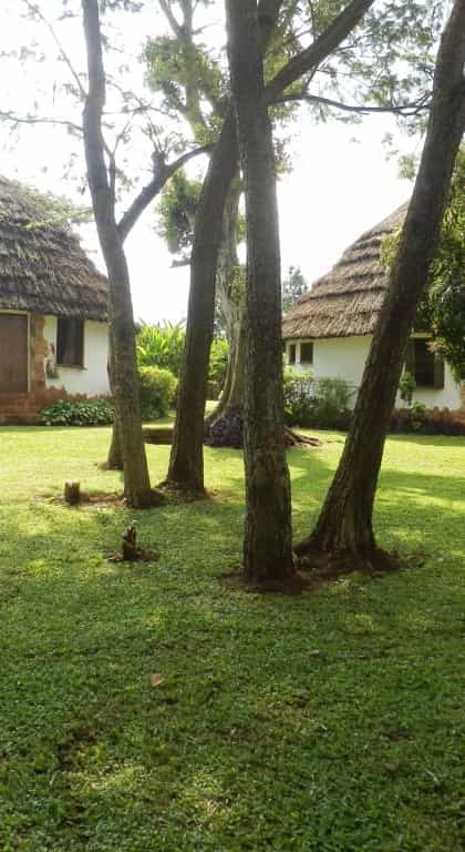 Kingfisher Safaris Resort, Jinja | Timbuktu Travel