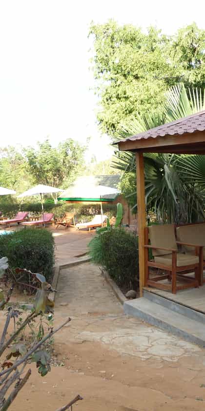 Orchidee du Bemaraha, Tsingy De Bemaraha | Timbuktu Travel