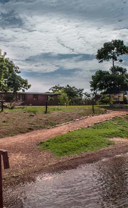 Ngamba Island Camp, Entebbe | Timbuktu Travel