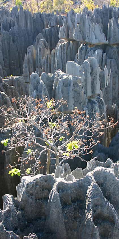 Le Grand Hotel du Tsingy de Bemaraha, Tsingy De Bemaraha | Timbuktu Travel
