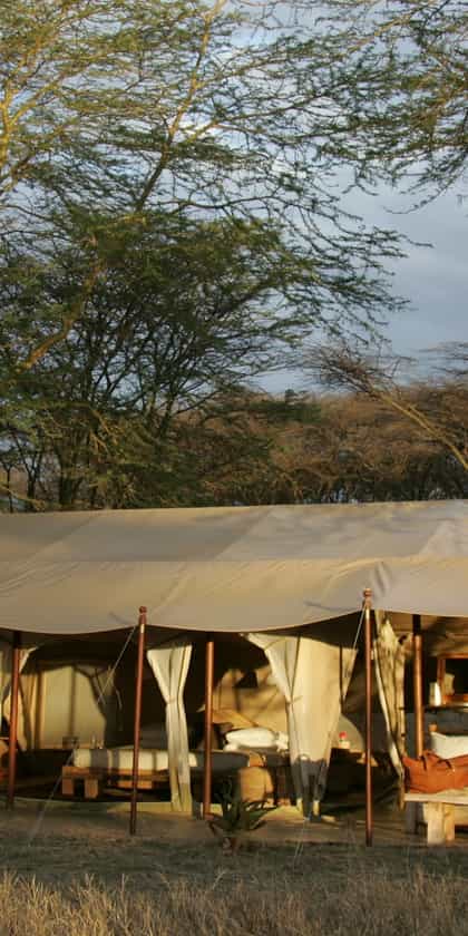 Little Naibor Camp, Masai Mara | Timbuktu Travel