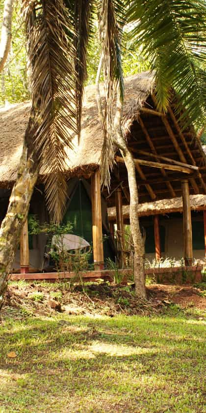 Kibale Forest Camp, Kibale | Timbuktu Travel