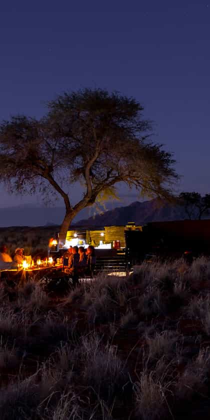 Tok Tokkie Trails, NamibRand | Timbuktu Travel