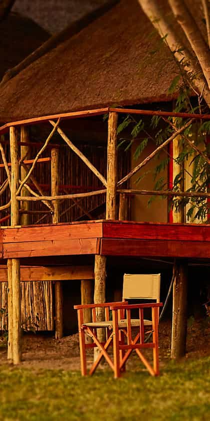 Crocodile Camp, Maun | Timbuktu Travel